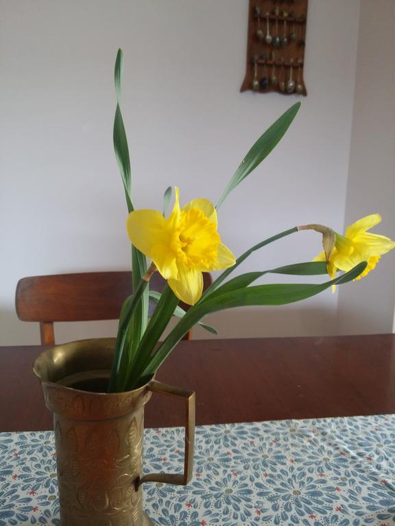 Winnipeg Homestay Εξωτερικό φωτογραφία